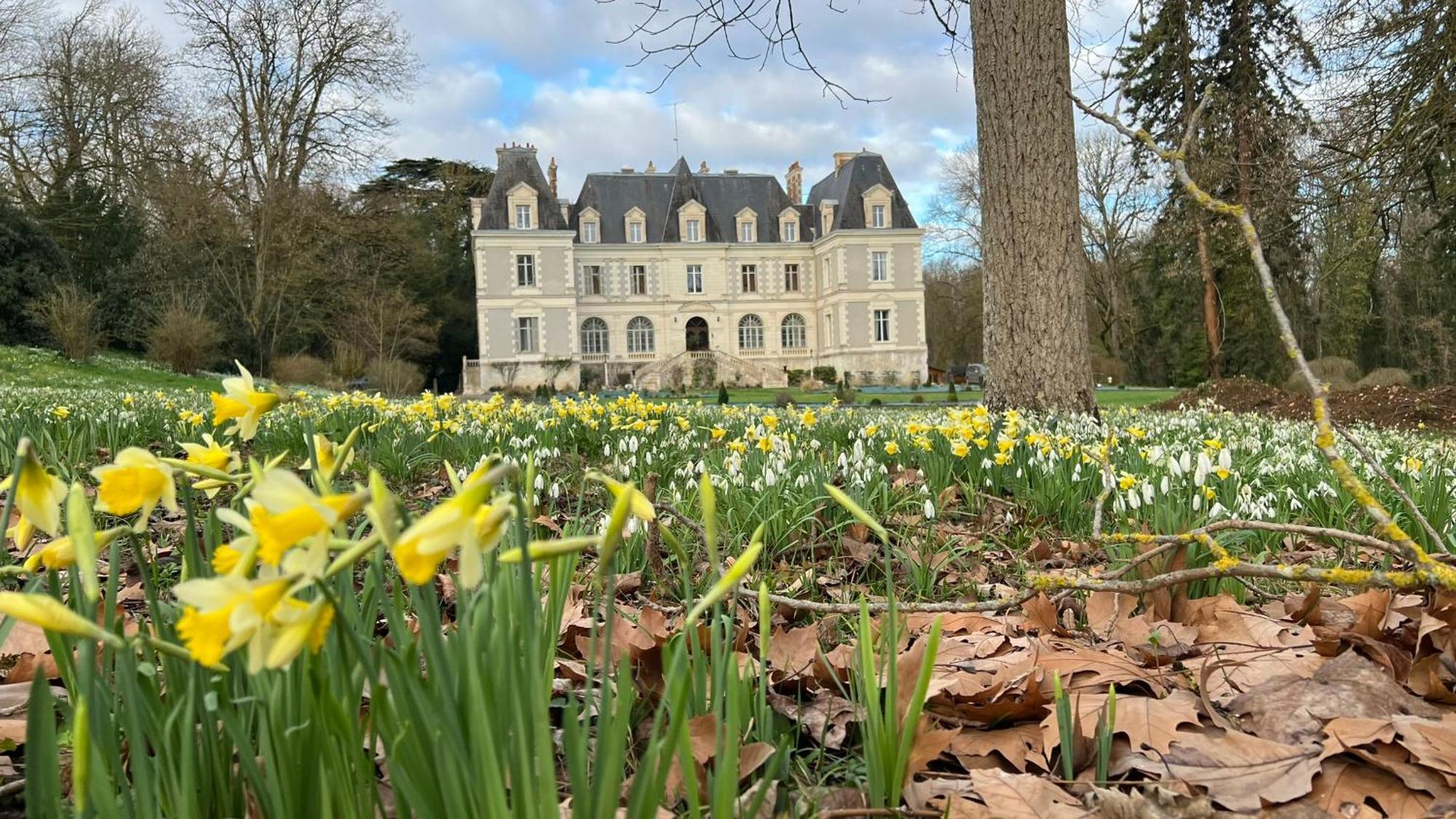 Chateau De Saint-Bohaire Екстер'єр фото
